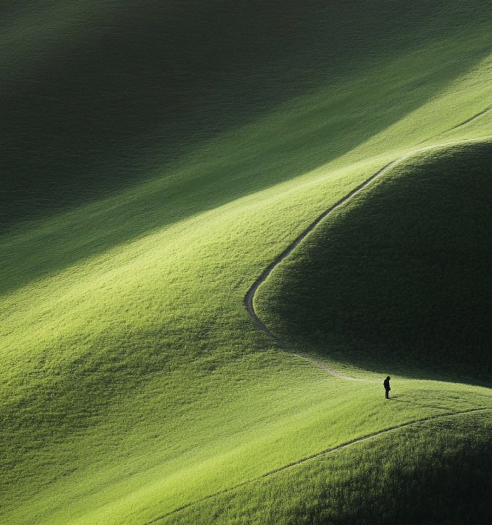 Rolling green farmland