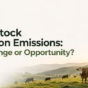 Will Livestock Carbon Emissions Remain a Challenge or Become an Opportunity? 