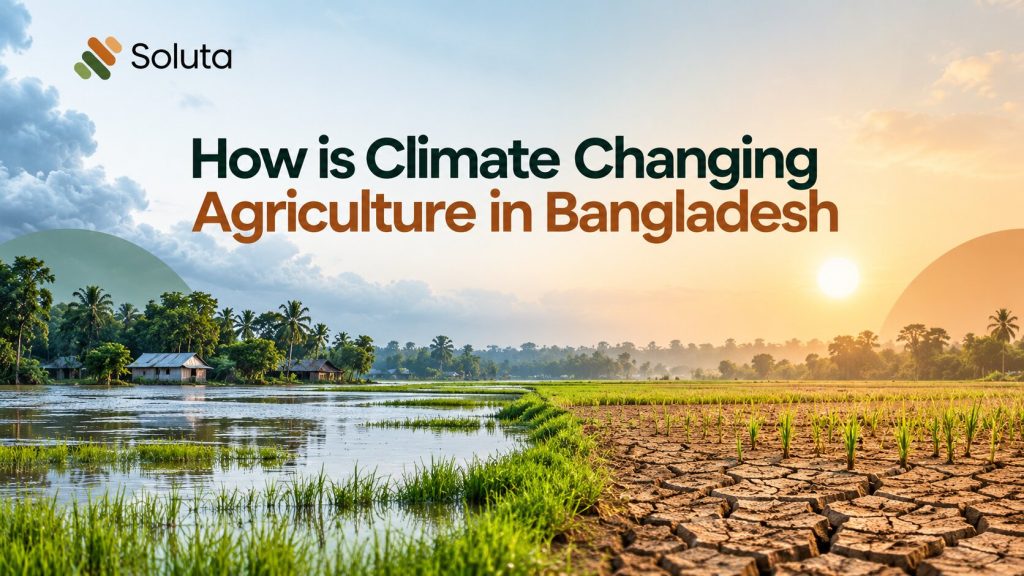 How is Climate Changing Agriculture in Bangladesh?