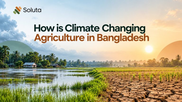 How is Climate Changing Agriculture in Bangladesh?