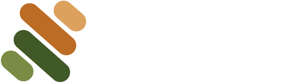 Soluta Logo