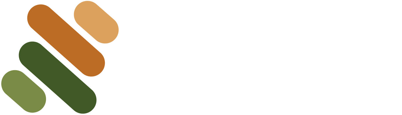 Soluta Logo
