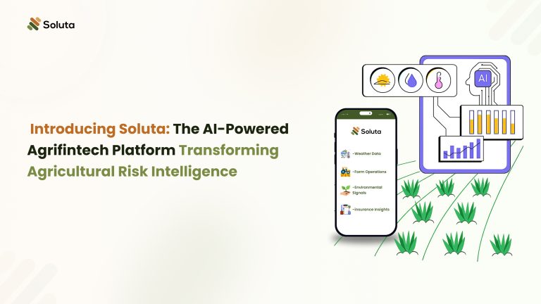 Introducing Soluta