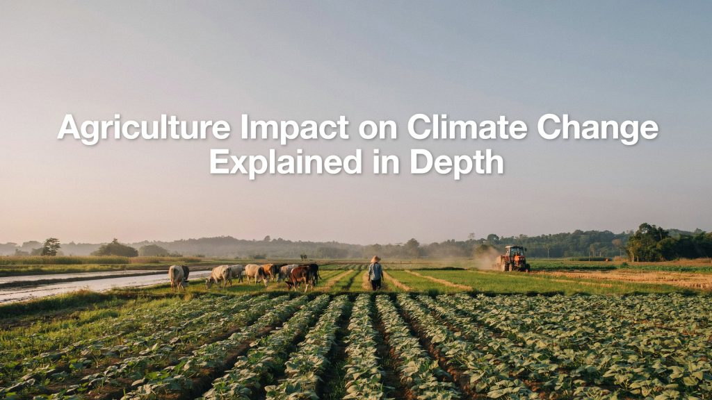 Agriculture Impact on Climate Change
