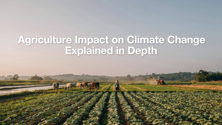 Agriculture Impact on Climate Change