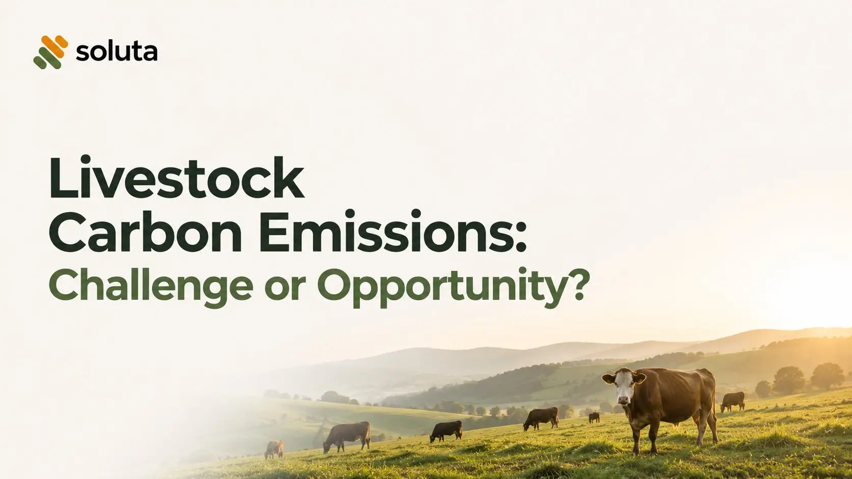 Will Livestock Carbon Emissions Remain a Challenge or Become an Opportunity? 